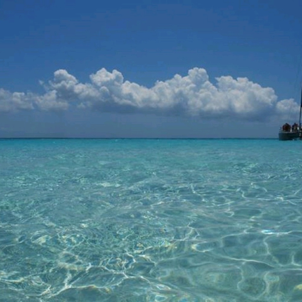 Meet your Posher, Tina